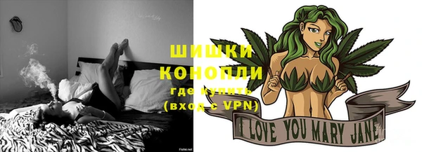 сатива Лабытнанги