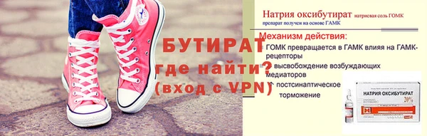 сатива Лабытнанги