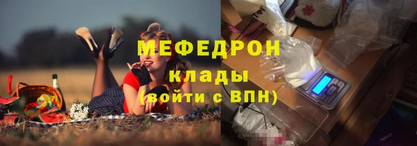 индика Кулебаки