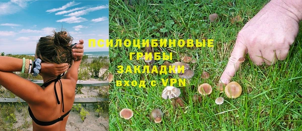 мет Лагань