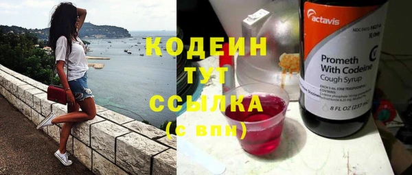сатива Лабытнанги
