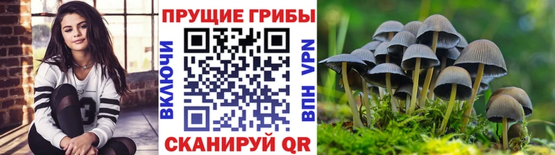 Псилоцибиновые грибы мухоморы  нарко площадка как зайти  Отрадное 
