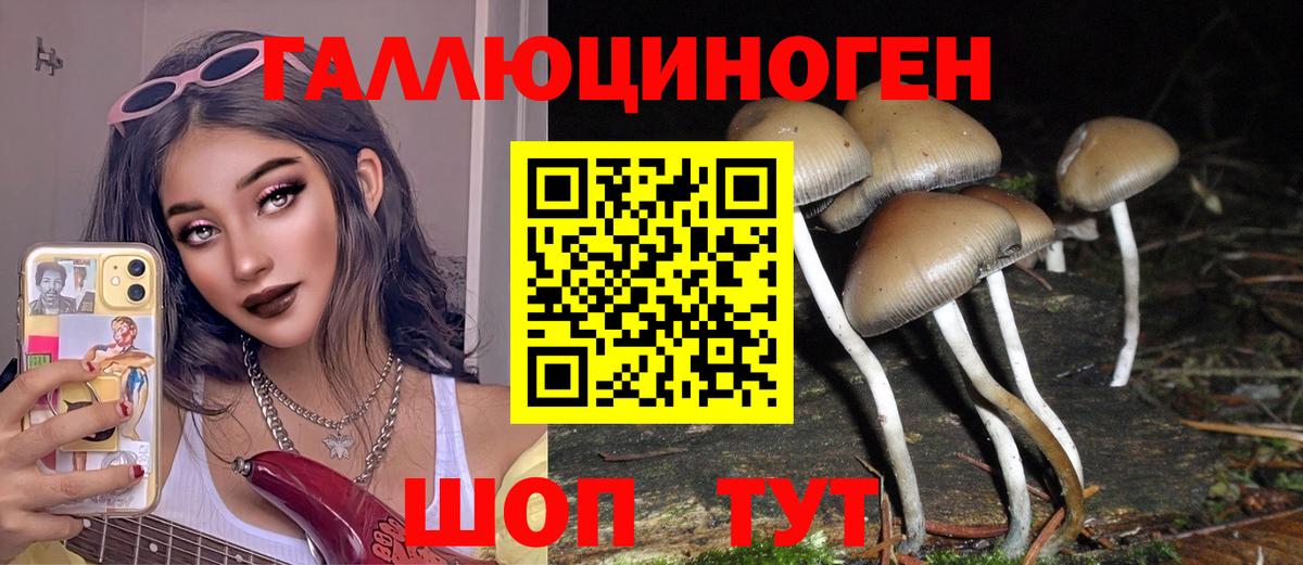 Отрадное  Псилоцибиновые грибы Psilocybine cubensis  Галлюциногенные грибы Magic Shrooms  Вход с VPN 